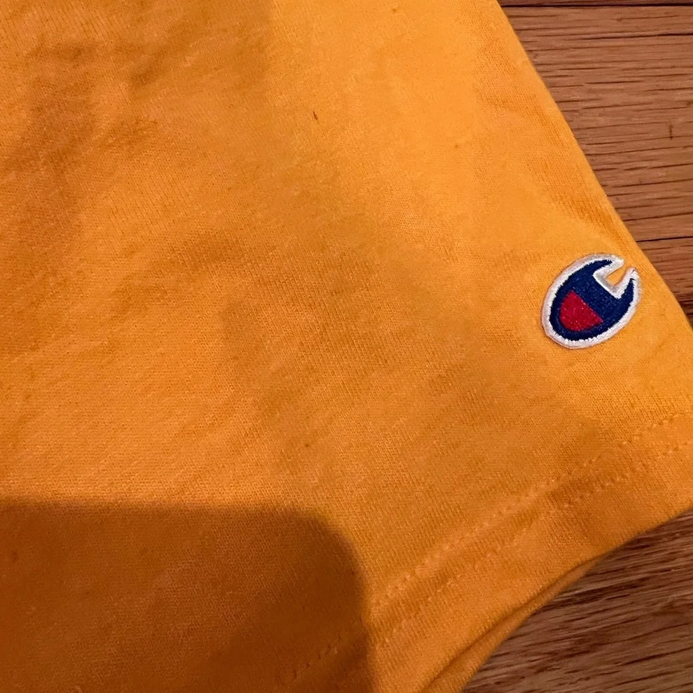 WESTSIDE GUNN GXFR GRISELDA FLY GOD Champion Yellow Tee - Picture 6 of 7